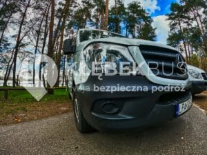 Srebrny bus osobowy zaparkowany wśr&oacute;d drzew